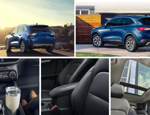 Why the 2022 Ford Escape SE Is the Ultimate Urban Companion