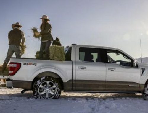 Colley Ford: Interior and Exterior Color Options for the 2023 Ford F-150